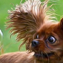 Окружающая природа